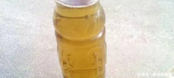 老玉米这样处理,一粒玉米一条鱼,还真不算什么难事!