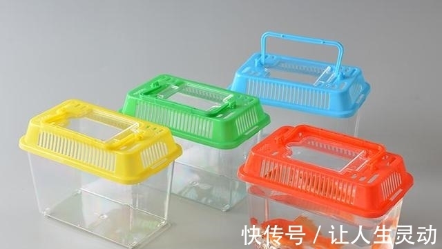 养鱼图什么?不是真正喜欢养鱼的朋友别看,我怕不能引起你的共鸣