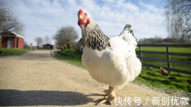 求财|8.16-8.22，运势顺畅，求财得财，求喜得喜，称心如意的3个生肖