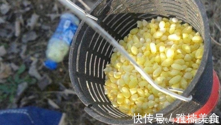 冬钓时，唯独这3种窝料才最实用，简单又省事，大鲫鱼一诱一大群