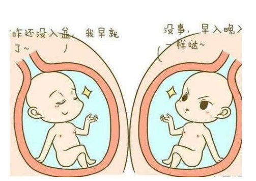 入盆|胎儿入盆为什么头部向下,胎儿头部不会充血吗?