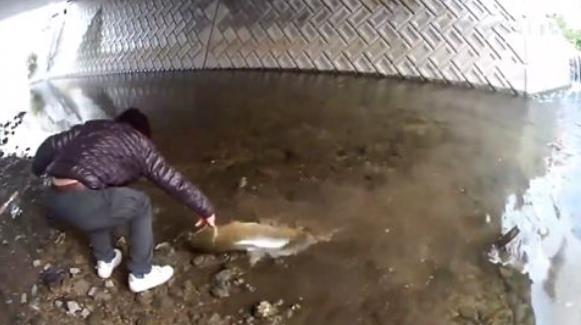 男子|男子桥下钓鱼,钓上个大家伙,后悔没带渔网