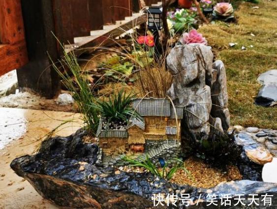 石头养花学2个小方法处理，千金难求！花友谁也舍不得卖