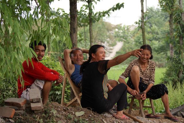 西红柿长成“大树”，一年挂果6000斤，一棵吃一年，就怕你不会种