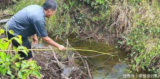 插竿钓法省事省心的钓取昂贵渔获的同时,领略古老钓法的乐趣!