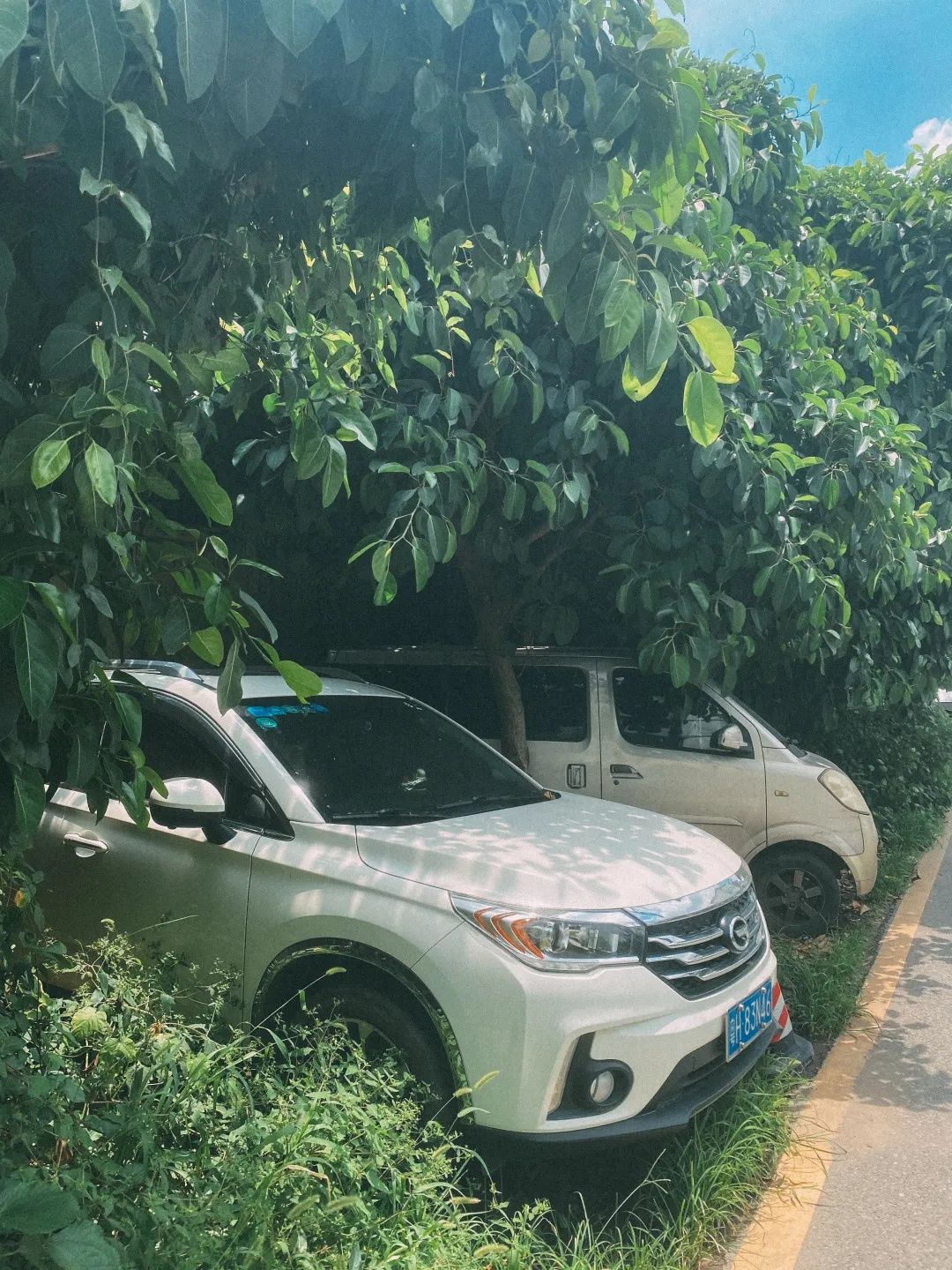吉山村|富力旧改下的魅力新羊城，寻找那些即将消失的村落