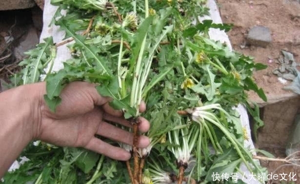  乳腺|乳腺增生可能会癌变？常吃这几种食物，通乳散结，远离乳腺癌