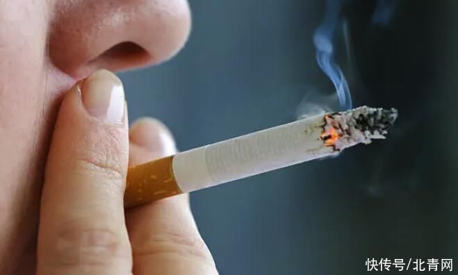 大蒜、西兰花、苹果……这些“抗癌食物”真的有效吗？科学证据来说话！癌症不上门，得这样养