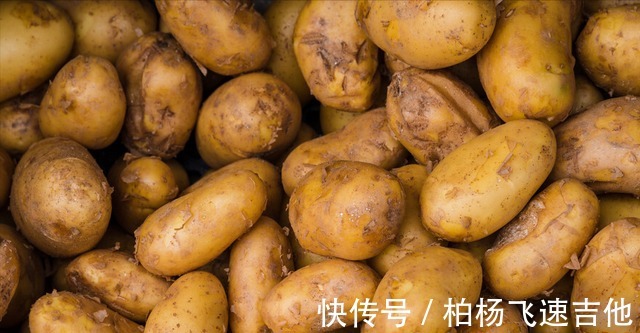 罐头食品|寒冬已至,家庭日常囤备物资,5类食物优先考虑,满足日常所需!