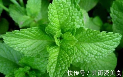 野菜|农村不起眼的野菜，药用价值高，能祛斑美白，治疗通便，早看早知