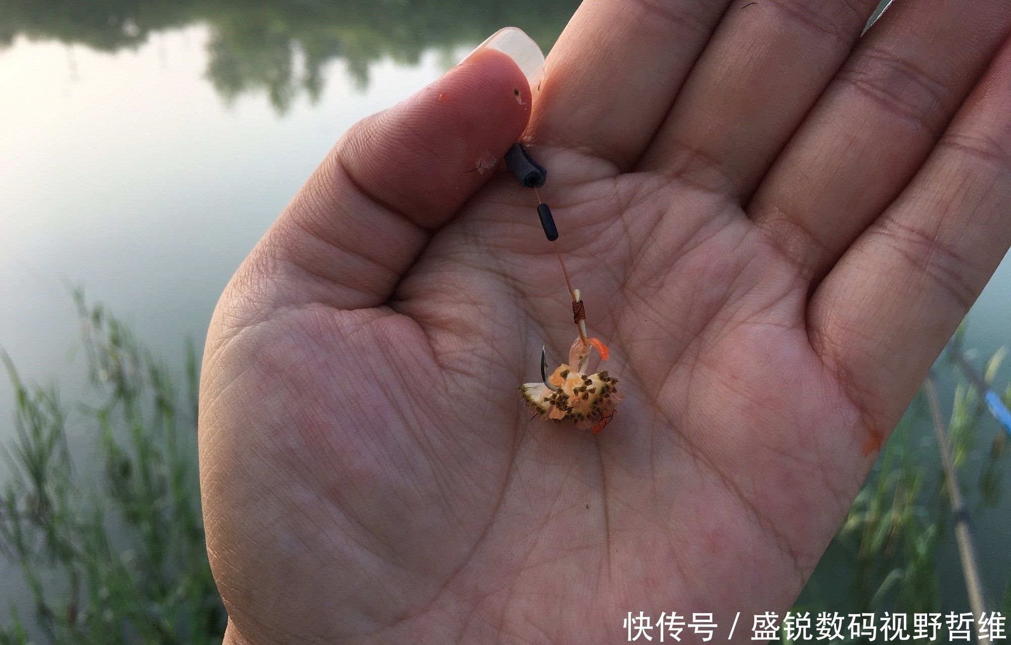 大鱼|这5个钓鱼知识虽冷,却是十足的常识,你是否因犯迷糊而忽视呢?