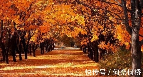 思想家&李觏的一首悲秋之作,跌宕起伏,结尾彰显出坦荡襟怀