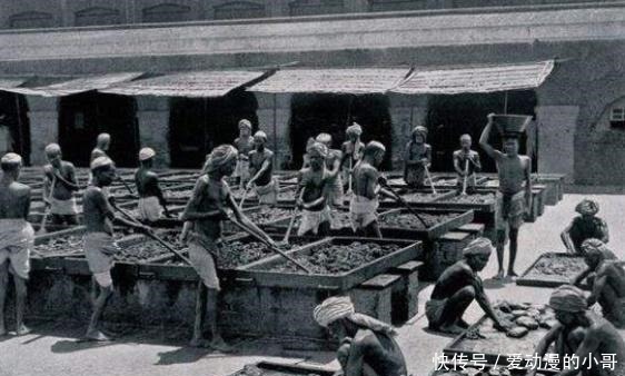 起头|统治东西方两大国的女王，祸害中国亿万百姓，让中国百年抬不起头