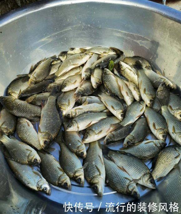 饵料|漂相很稳就是打不中鱼？解决起来挺简单，但要排除一个问题