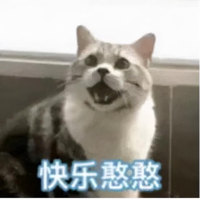 大骨|色香浓郁酱大骨，一口忘掉人生苦