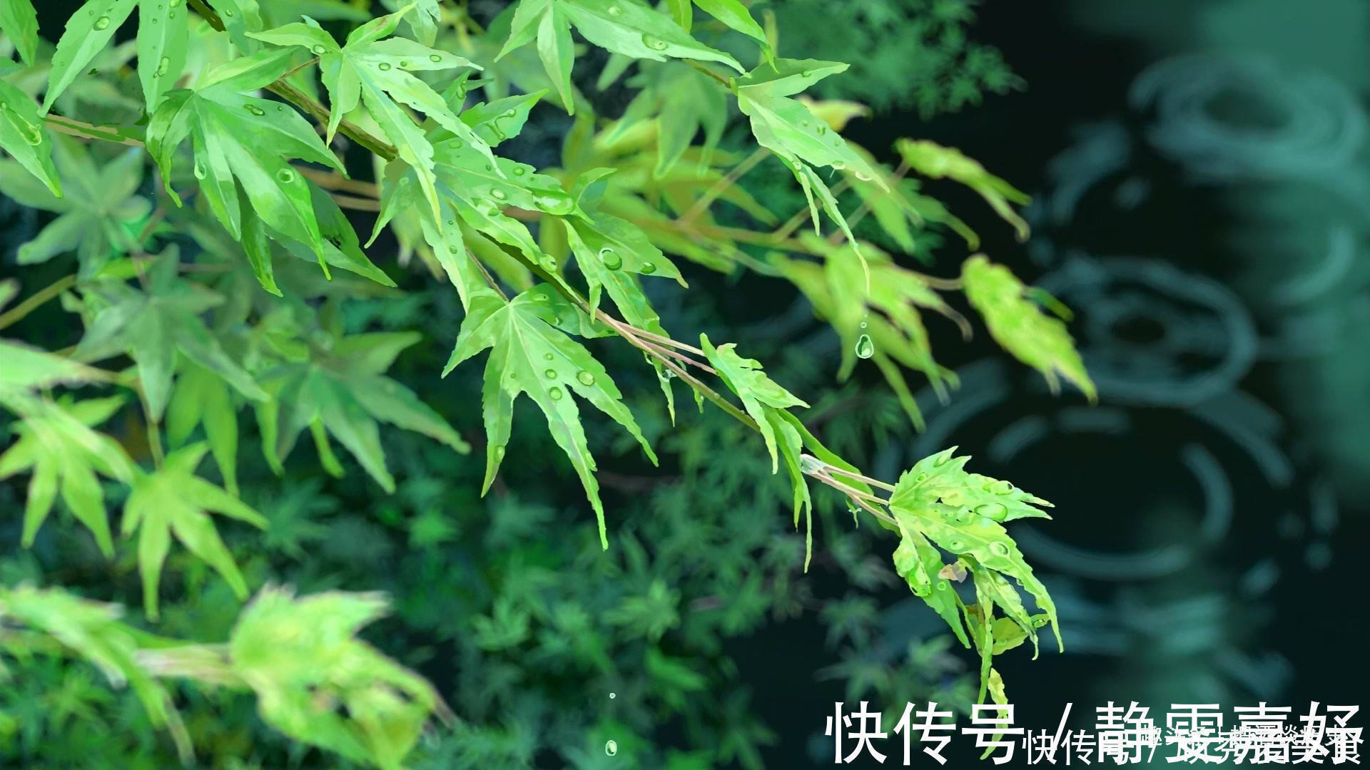 老实人&人有再大的本事,这四句话也别随意说,避免祸从口出