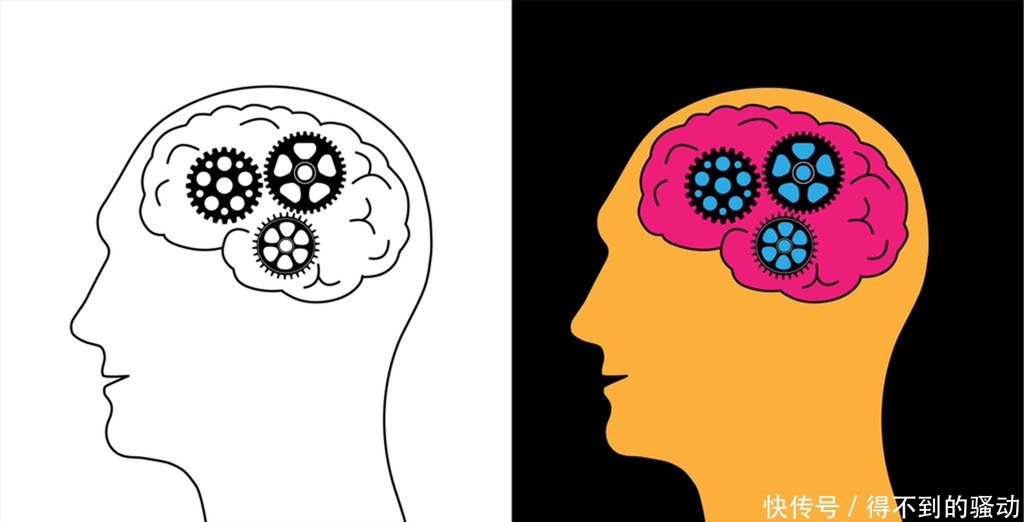 高手|别一提补脑就是吃核桃,这5种食物“脑黄金”,也是补脑高手!