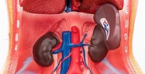 积食|5岁前管住孩子的嘴,儿科医生3种食物不能吃,容易积食不长个