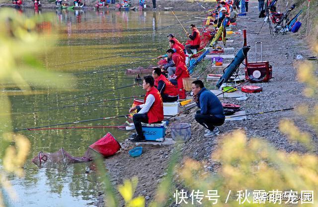 钓友们|黑坑到底赚不赚钱?带你走进黑坑世界