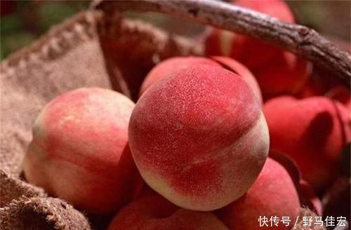 排毒养颜|会吃的人最健康,3种食物离不开,排毒养颜,补中益气,有益健康