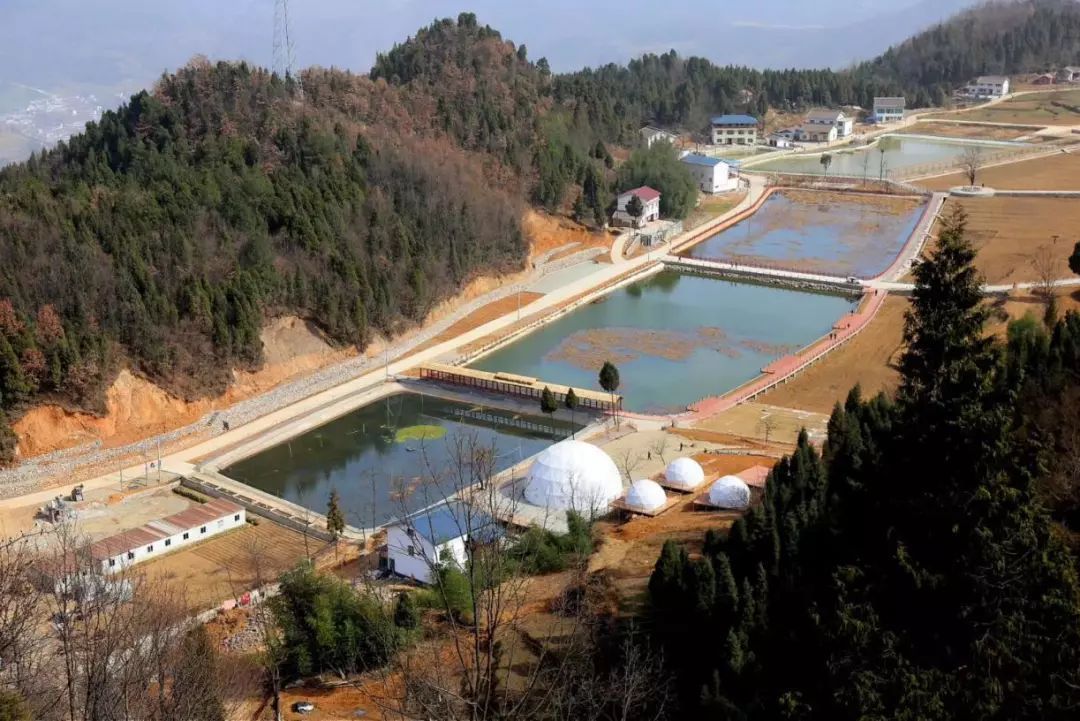 羊木镇:争做新型城镇化领头羊 加快建成朝天区经济副中心