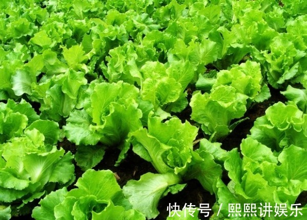 大肚腩|女性不想肚子鼓鼓,可多食此菜,脂肪没了,甩掉大肚腩,早知早好