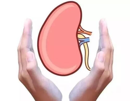 肾虚|你是“肾阴虚”还是“肾阳虚”？最正确的鉴别方法在这里！