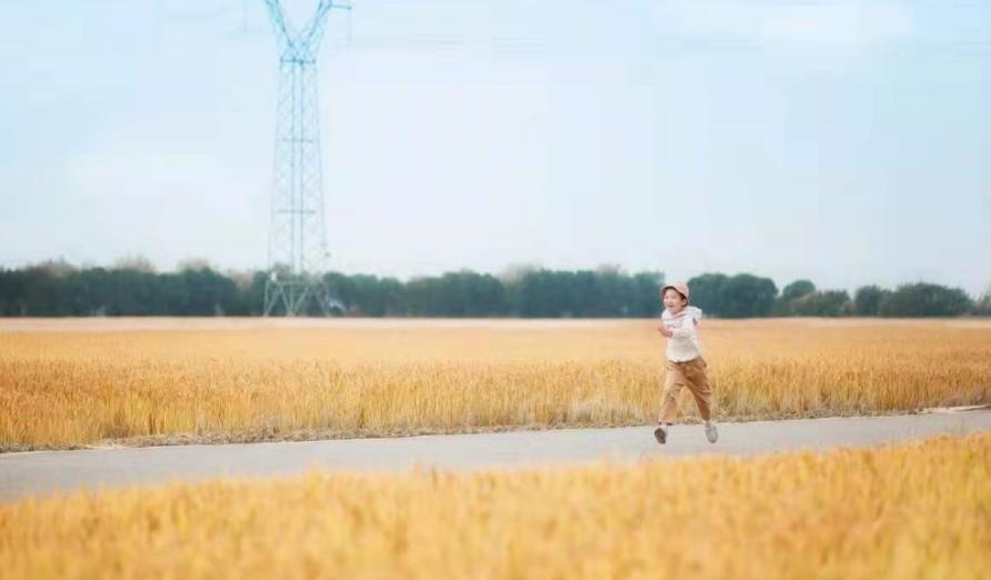 暑假作业|父母最大的智慧,是教孩子输得起