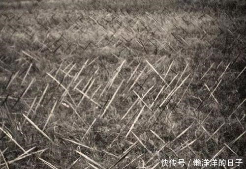 黑色|当看到日军运出的屎是黑色时，中国远征军一下子高兴了起来