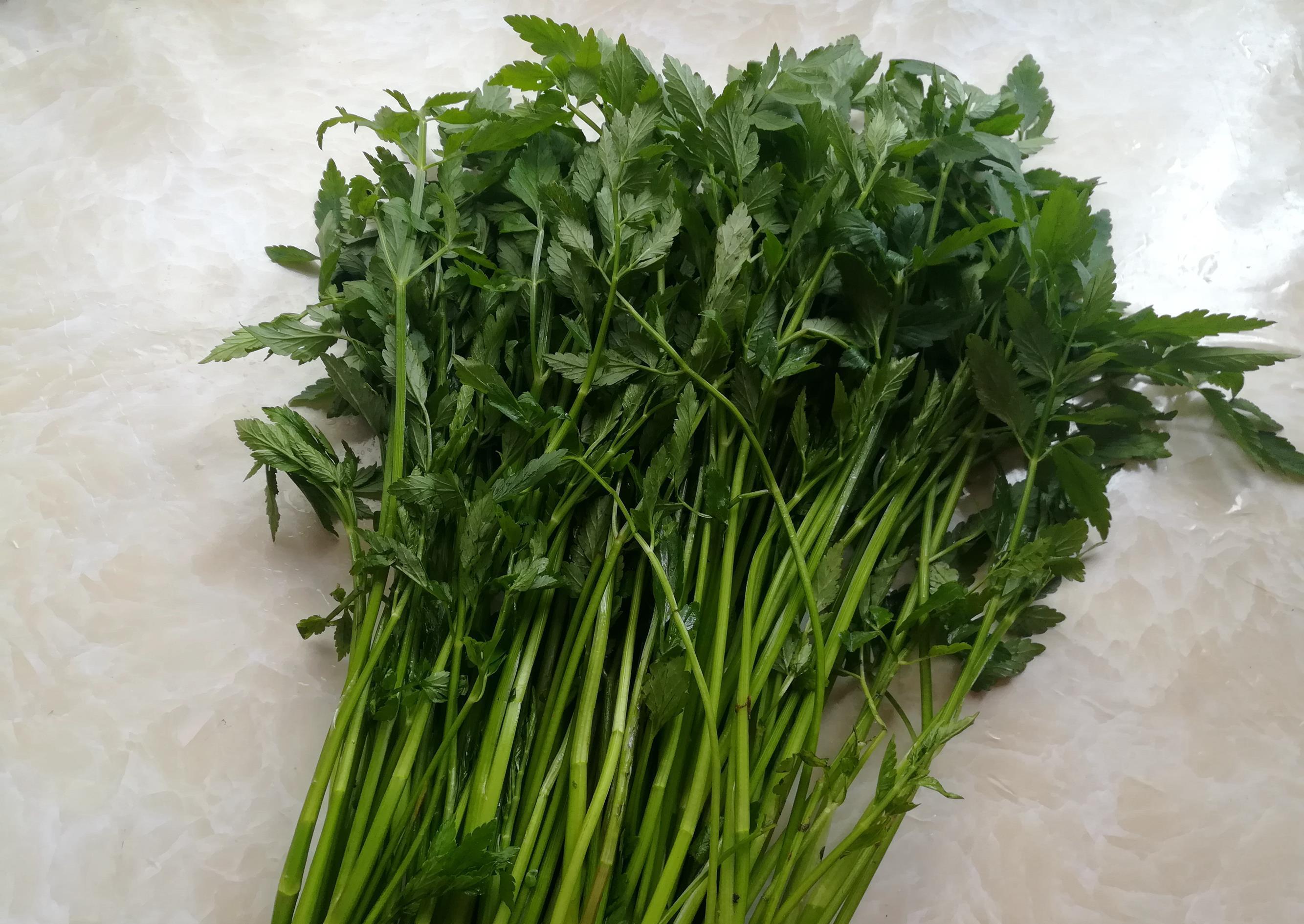 龙宝|农村里随处可见的6种野菜,第5种很多人都没吃过,网友:想试试