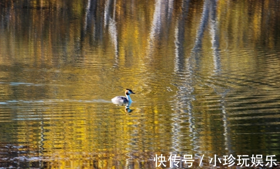 湖水|乌兰布统草原上的明珠，赤峰克什克腾公主湖，美得让人心动！