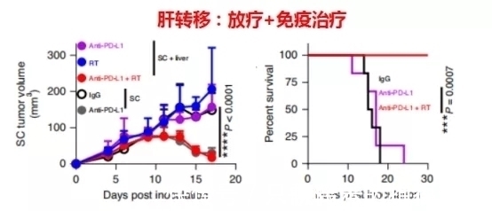 肝转移|让肺癌治疗失效的元凶竟然是它！逆转方法如此简单—抗癌管家