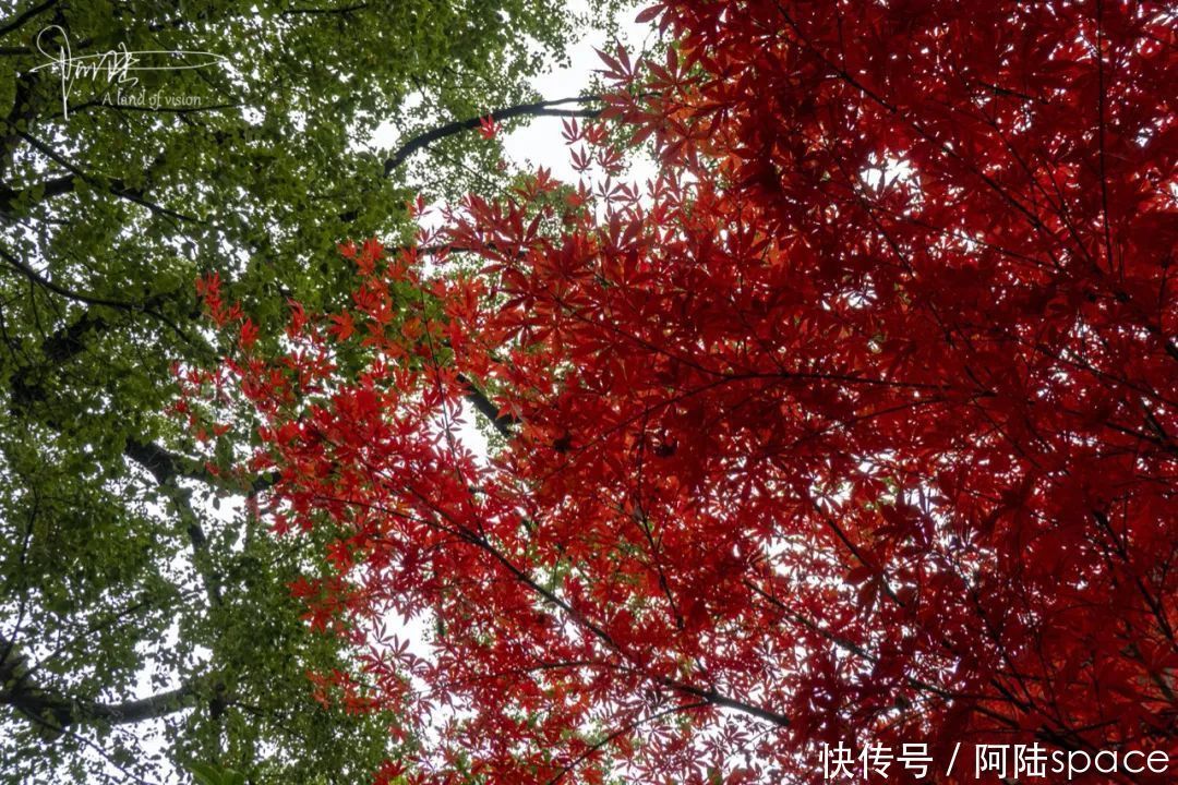 再次|再次邂逅独山古寨，却被它“门”前的风景惊艳到了