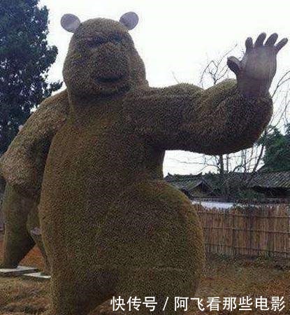 不到|在课本上, 你是找不到这些冷知识的