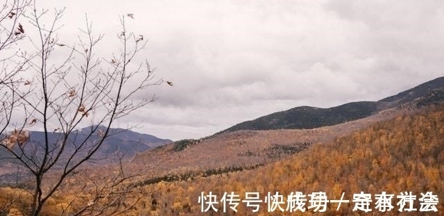 君同|2周后，爱越久，情越浓，相思入梦中，痴心不忘，牵手缠绵一生