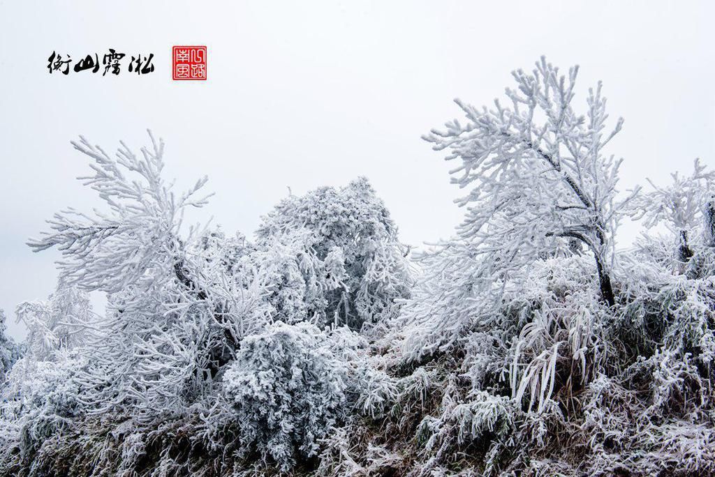 实在|湖南衡山迎来“最美”冬景，雾凇奇观实在太“仙”了