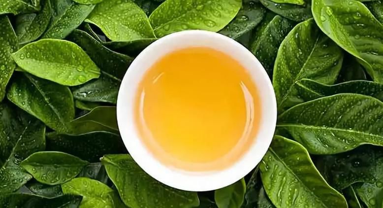 茶在我国被誉为国饮,茶叶的作用你还不知道？赶快学习起来！
