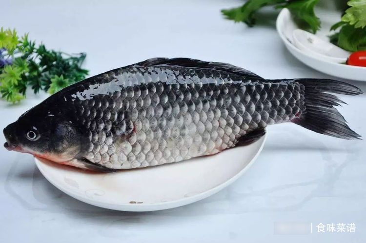 鲫鱼|鲫鱼怎么做才好吃？分享3种不同的做法，鲜香美味，下酒下饭都行