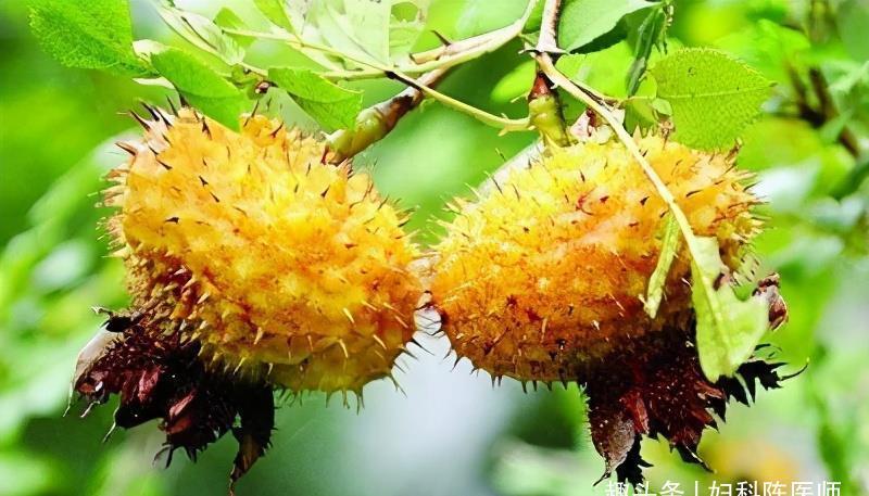 美容养颜|聪明人都在吃3种食物,祛皱淡斑,美容养颜,滋养肌肤