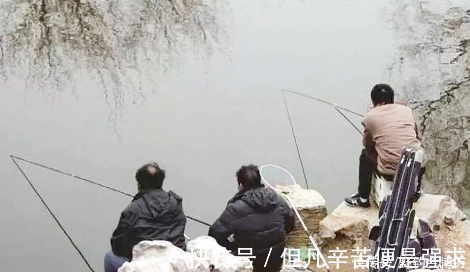 冬季|冬季钓鱼,开饵时加几滴油,饵料入水鱼儿抢着吃,附油的制作方法