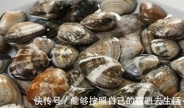 沙子|想要吃美味的花蛤, 去沙得干净, 一颗铁钉就能够让花蛤乖乖吐沙