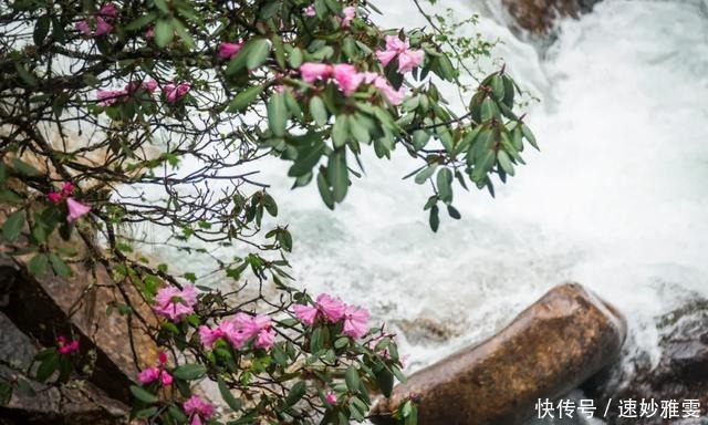 川西3日游｜赏雪山花海、瞰红石奇观、泡天然温泉…一路风光美绝