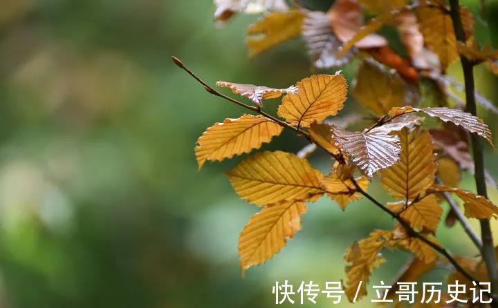 四川|治疗脂肪瘤,乳腺纤维瘤的方子,四川名中医经验总结,可缩小瘤体