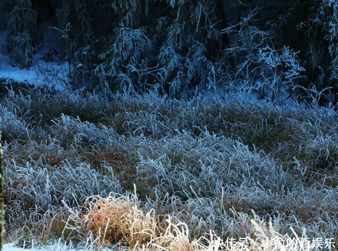 雪景|遂昌大美雪景图！让你一次看个够