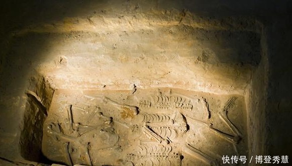 人殉制度|生人为死人殉葬,真的只是在封建社会才出现的吗?