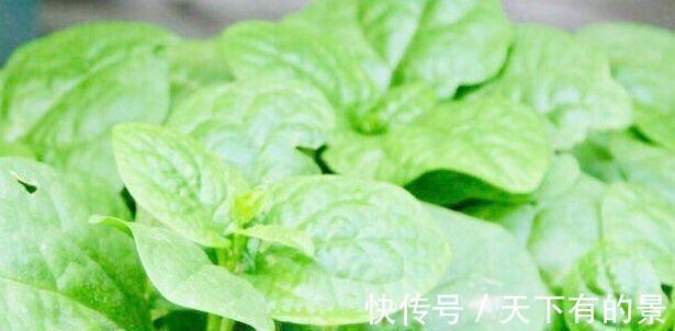 养生|秋季养生坚持吃3种食物,美容养颜、滋润肌肤,好吃不贵