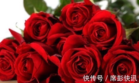 黑魔术|新手养花,不如养盆花中精品“黑魔术”,花开色如黑墨,高贵典雅