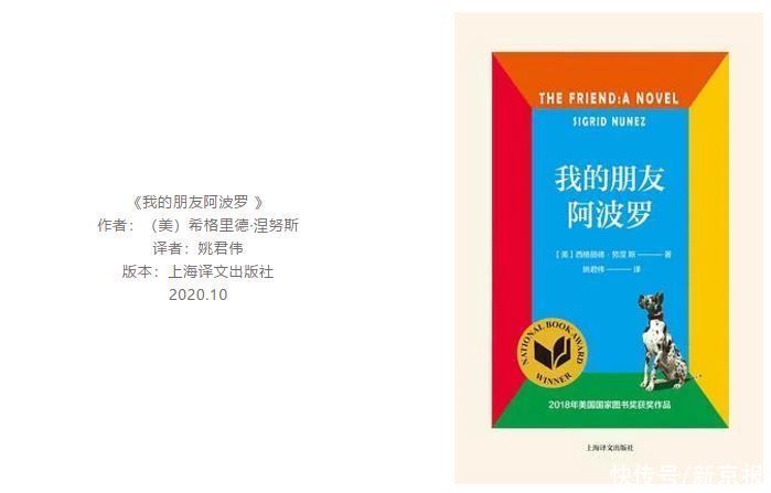  推荐|2020新京报年度阅读推荐榜88本入围书单｜文学·艺术