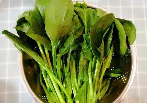  1勺|你会用菠菜做什么美食？