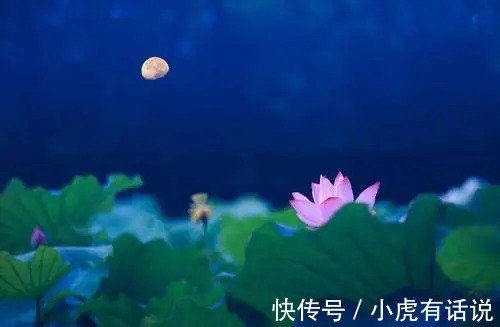 金瓶梅!《荷塘月色》为何要被删除?朱自清的文章有这么差吗?